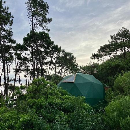 Domosdemar A 100 Mts Del Mar Otel Ocean Park Dış mekan fotoğraf