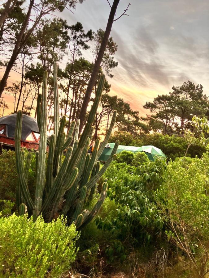 Domosdemar A 100 Mts Del Mar Otel Ocean Park Dış mekan fotoğraf