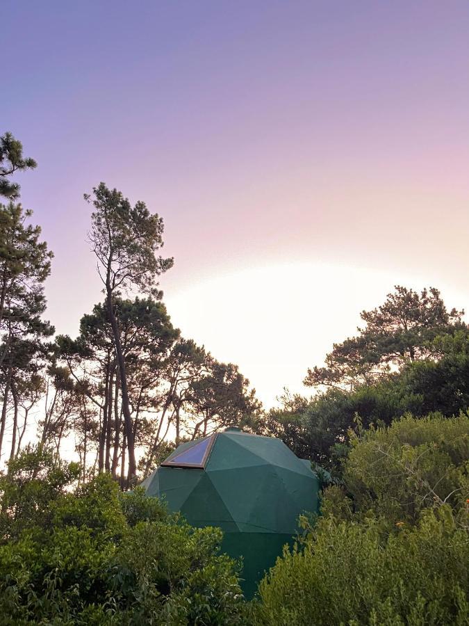 Domosdemar A 100 Mts Del Mar Otel Ocean Park Dış mekan fotoğraf